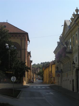 Under utflykten besökte vi också den mycket fina lilla staden Sremski Karlovci, berömd för "Freden i Karlowitz" 1699.